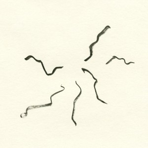 Tattered – (‘Giobalach’*)