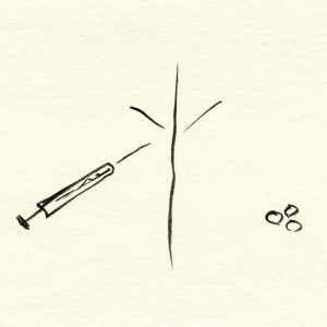 Who is this Flesh? Who is this Flesh?